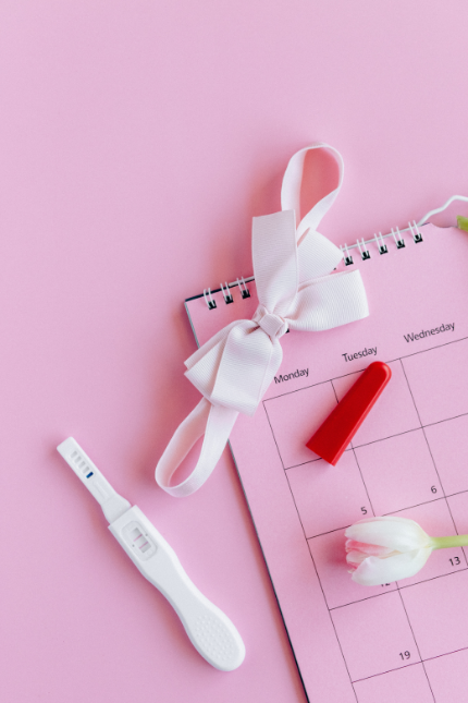 image avec calendrier test de grossesse, petit ruban avec nœud et une tulipe
